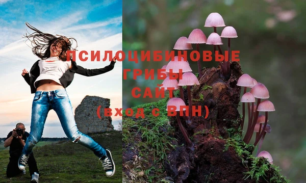 круглые Алзамай