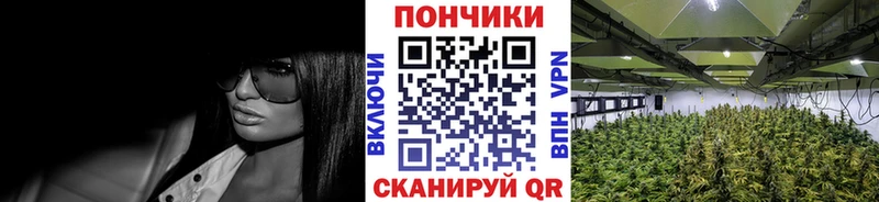 Купить где  Челябинск  Бошки Шишки Amnesia 